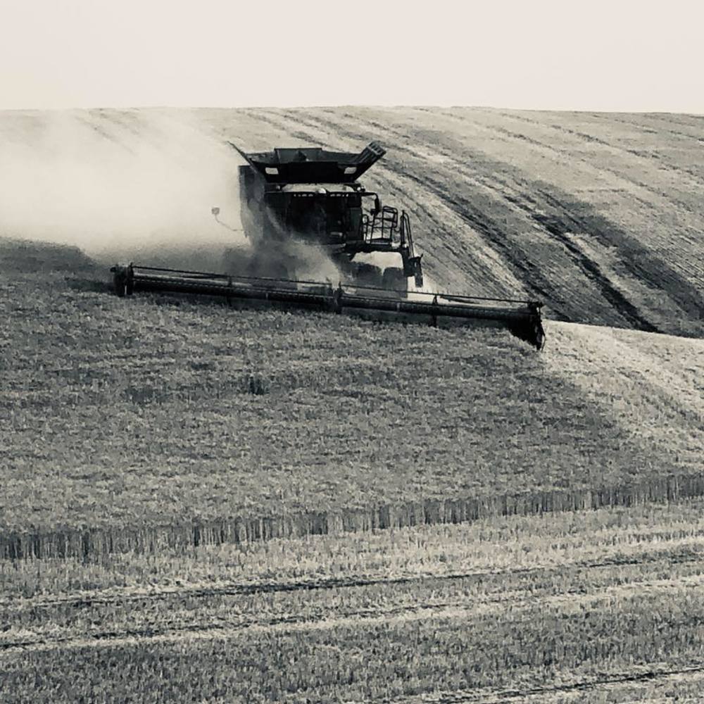 Meet your Posher, Tony